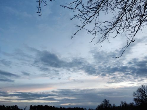 A few twigs in the foreground frame a small moon in the dark-blue sky. A hint of orange lights some clouds.