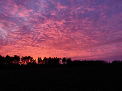 A pitch-black landscape with a forest silhouette at the horizon against a fiery-orange sunset that slowly fades to purple-blue.