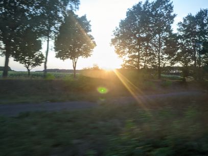 A line of trees through which the setting sun peeks with golden lens flares. Heavy motion blur turns bushes in the foreground into a green smear. The photo was taken from a fast-moving vehicle.