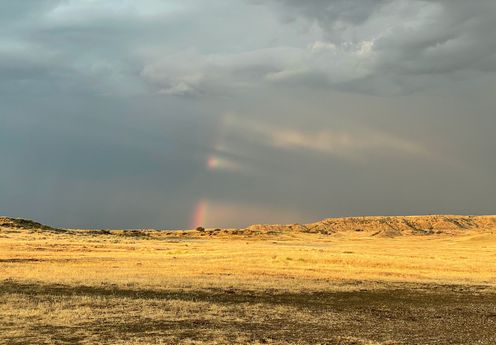 Brightly lit yellow-brownish savannah under a dark gray sky. A hint of a rainbow is peeking through clouds.