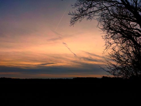 Dark trees in the foreground. A few light clouds stand dark against the orange sky.