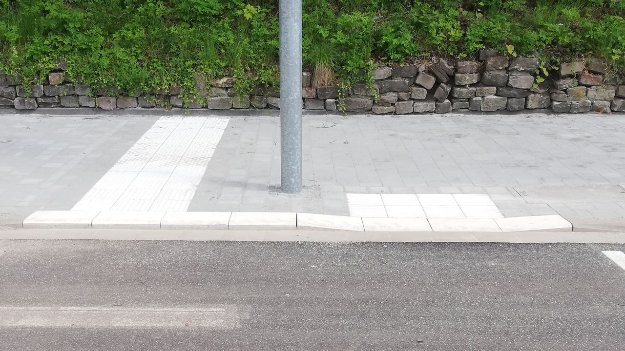 Crosswalk with lowered (cut) curb, white tactile paving guides people towards the lowered section of the curb.